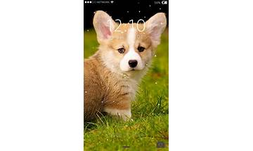 Cute Puppy Zip Screen Lock for Android - Download the APK from Habererciyes